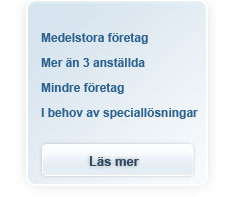 Medelstora fretag. Mer n 3 anstllda. Mindre fretag. I behov av speciallsningar. Ls mer hr.